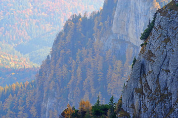 Fototapeta na wymiar Autumn rocky mountain with colorful trees