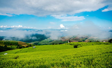Fototapeta premium Landscape images of white clouds, blue sky and fog in the morning cover green rice fields and mountain range, that beautiful nature background and travel attractions in Thailand.