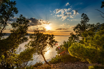 Beautiful sunset over Adriatic sea with pine forest and crepuscular rays of sun in Dalmatia, Croatia