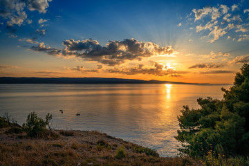Fototapeta na wymiar Beautiful sunset over Adriatic sea with pines and crepuscular rays of sun in Dalmatia, Croatia