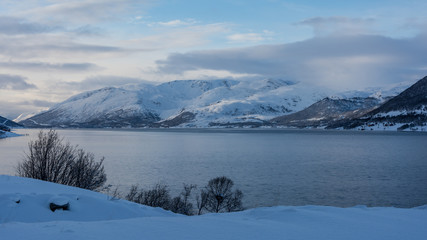 Fototapeta premium Snowy mountains on the shore of the sea in northern Norway in winter with leafless trees in the foreground