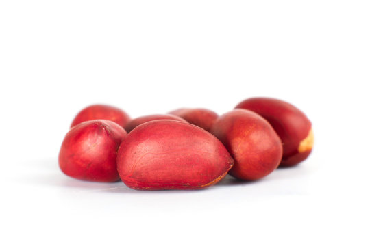 roasted peanuts isolated