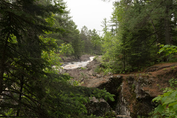 Fototapeta na wymiar River flows through a scenic forest