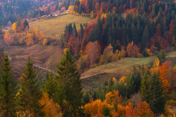 Autumn foliage trees in the mountains Meadow with haystack