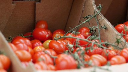 Fresh tomatoes on bunch lie in brown corrugated cardboard boxes packs. Showcase with vegetables in a supermarket. Fresh ripe tomato vegetables in box at grocery food store. Natural healthy foods meal