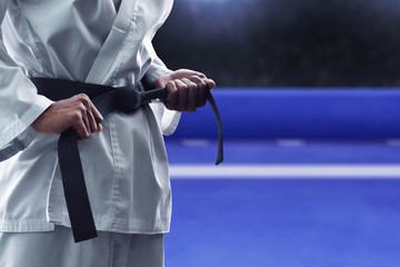 Karate martial arts fighter in arena - obrazy, fototapety, plakaty
