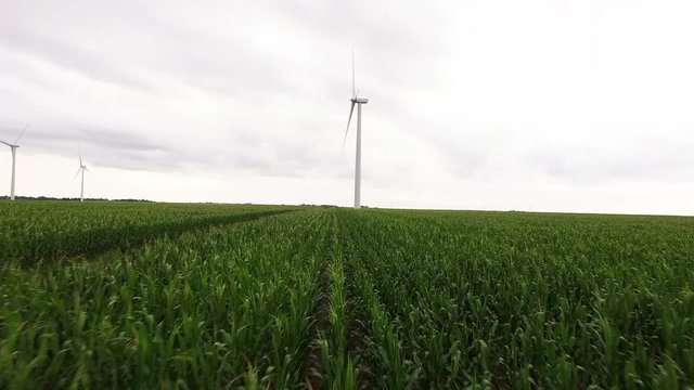 Wind turbine in corn field, aerial