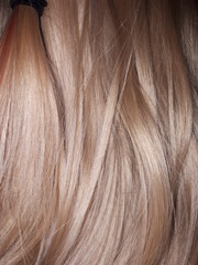 blonde natural hair on the girl's head
