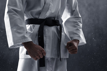 Karate martial arts fighter training