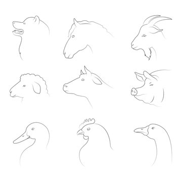 animals vector line icons set