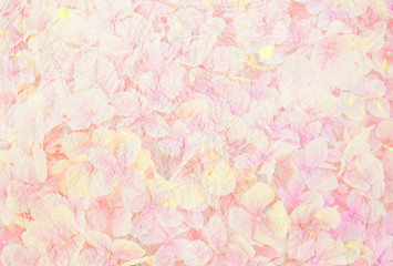 abstract floral pink texture design