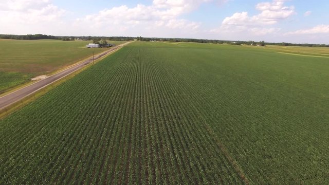 Wide aerial, farmers in Illinois corn field