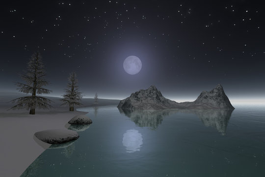 Night view on the lake, snow on the ground, coniferous trees and moon with stars in the sky.