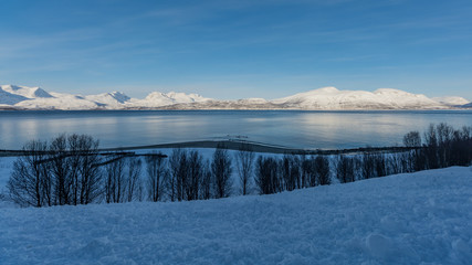 Snowy mountains behind the sea in northern Norway in winter with trees and piles of snow in the foreground