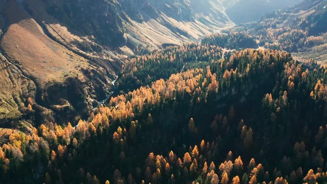Aerial 4K - Engadina (CH) - Maloja Pass - Lake Cavloc and Forno valley - Autumnal view