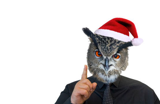 Man with owl head and christmas cap