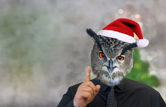 Man with owl head and christmas cap