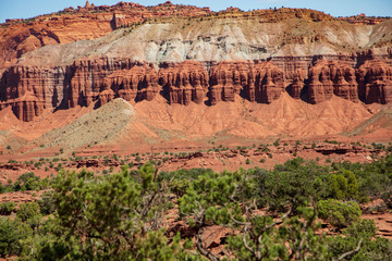 Amazingly resilient green shrubs exist in this rocky arid climate of Capitol Reef National Park, Utah