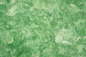 Fototapeta na wymiar green amate bark paper texture