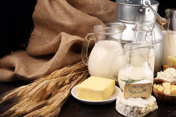 Different  healthy dairy products on rustic background with milk, cheese, butter and cottage