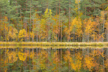 Serene autumn landscape at forest lake