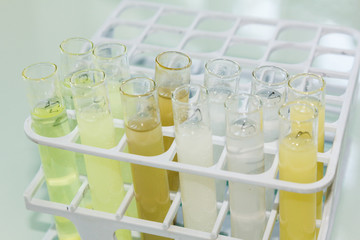 Close-up of test tubes containing asbestos samples preparations