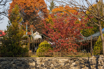 Old Soviet fighter jet in surrounded by autumn trees