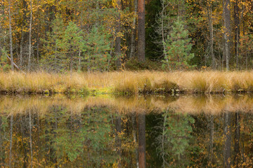 Serene autumn landscape at forest lake