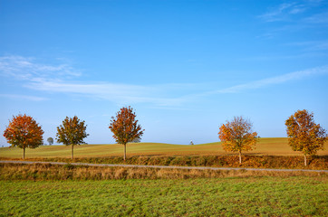 Autumn landscape with trees and the blue sky