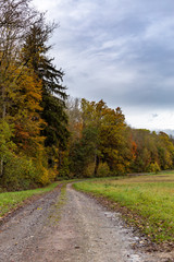 Weg am herbstlichen Waldrand