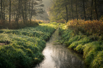 Mala river in Konstancin-Jeziorna, Mazowieckie, Poland