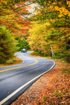 Winding road through beautiful autumn foliage trees in New England