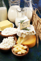 Different  healthy dairy products on rustic background with milk, cheese, butter and cottage