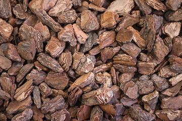 Shredded texture pieces of natural tree bark close-up. Chopped eco wood chips for decorative design