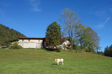 Bauernhof in Oberaudorf