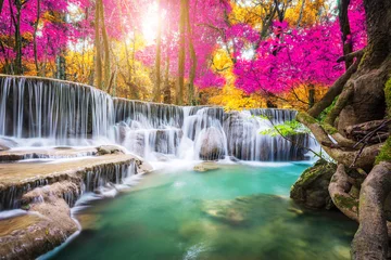 Foto op Aluminium Amazing in nature, beautiful waterfall at colorful autumn forest in fall season © totojang1977