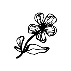 Cute hand drawn single sakura element. Traditional japanese or chinese spring flower in ink style. Doodle cherry plant.