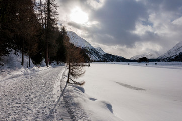 Sils, Silsersee, Langlauf, Langlaufloipe, Winter, Winterwanderweg, Oberengadin, Alpen, piz  da la...