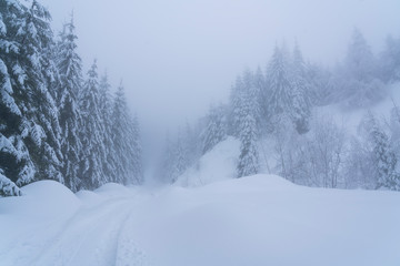 Fototapeta na wymiar Picturesque winter landscape in the mountains
