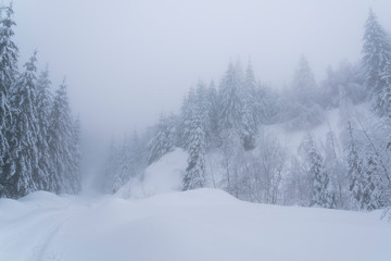 Picturesque winter landscape in the mountains