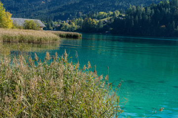 Seelandschaft mit Bergen ,Schilf, kristallklarem wasser