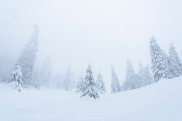 Picturesque winter landscape in the mountains