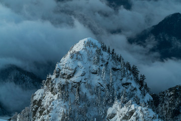 Heavy winter in the mountains with frozen trees and gorgeous minimalist shapes.