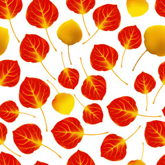 Bright autumn foliage