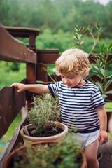 A toddler boy standing outdoors on a terrace in summer.