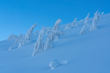 Heavy winter in the mountains with frozen trees and gorgeous minimalist shapes.