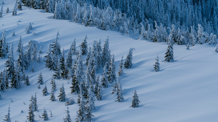 What an amazing and heavy winter with a lot of frozen trees and also abstract shapes.