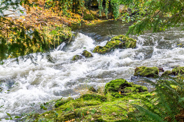 Tumwater Falls Park Rapids 9