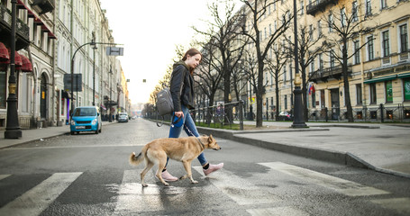 Young woman with dog on leash walking on pedestrian crossing