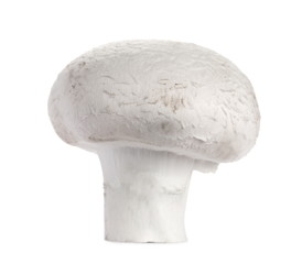 Fresh champignon mushrooms, isolated on white background, clipping path
